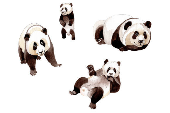 Animal Panda Watercolor: A Guide to Whimsical Design Assets