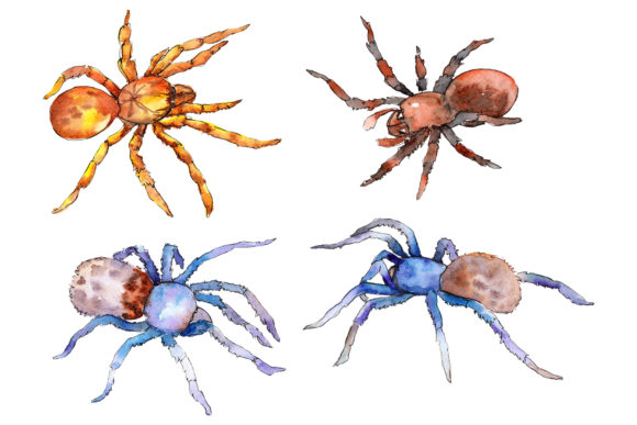 Animal World Tarantula Watercolor: Bold Design Assets